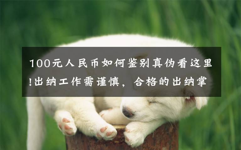 100元人民币如何鉴别真伪看这里!出纳工作需谨慎,合格的出纳掌握的七大基本技能,新手出纳必学