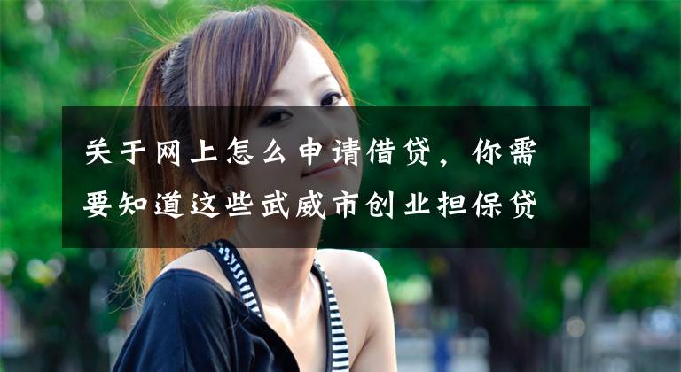 关于网上怎么申请借贷,你需要知道这些武威市创业担保贷款网上平台正式上线