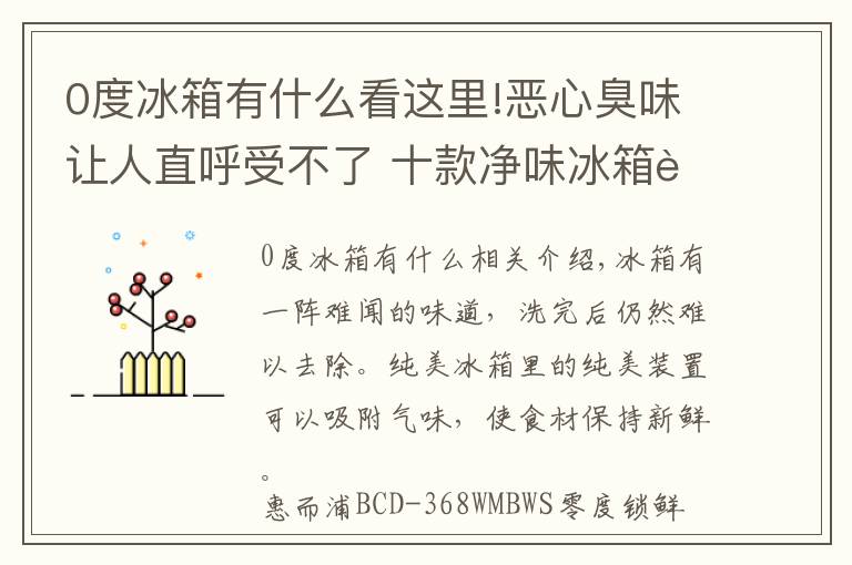 0度冰箱有什么看这里!恶心臭味让人直呼受不了 十款净味冰箱让食材无所“味”惧