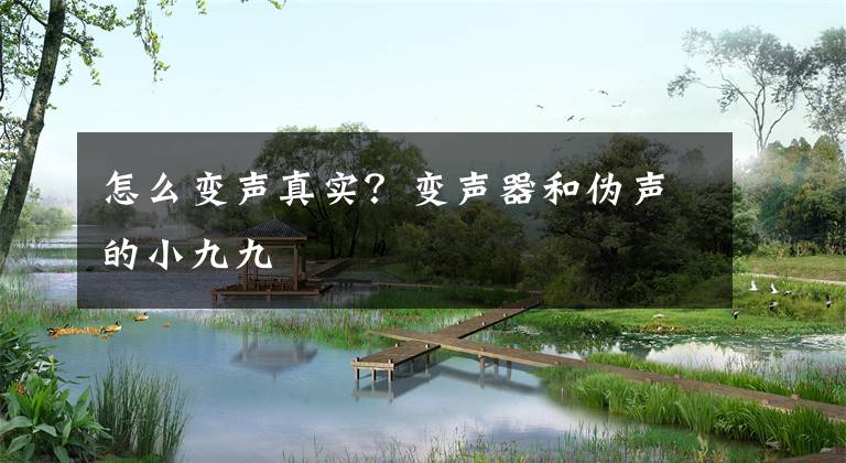 怎么变声真实？变声器和伪声的小九九