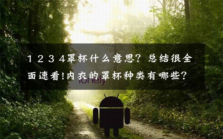 1 2 3 4罩杯什么意思?总结很全面速看!内衣的罩杯种类有哪些?找找哪些适合你!