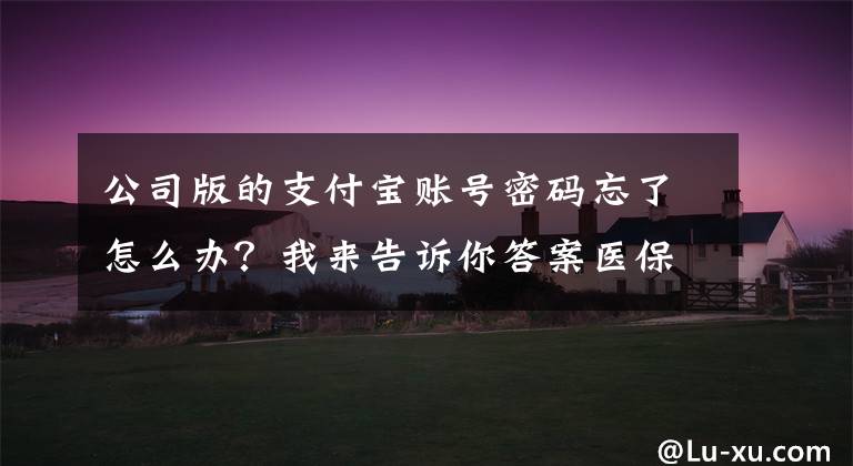 公司版的支付宝账号密码忘了怎么办？我来告诉你答案医保个人账户密码忘记了怎么办？