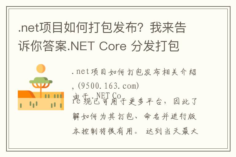 .net项目如何打包发布?我来告诉你答案.NET Core 分发打包