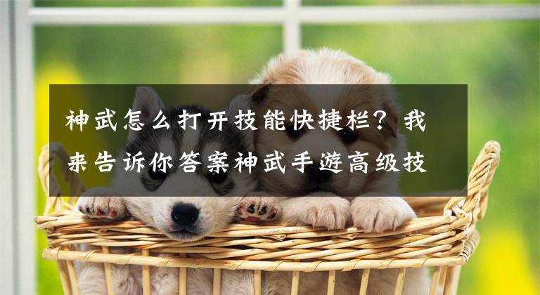 神武怎么打开技能快捷栏？我来告诉你答案神武手游高级技能使用解析攻略