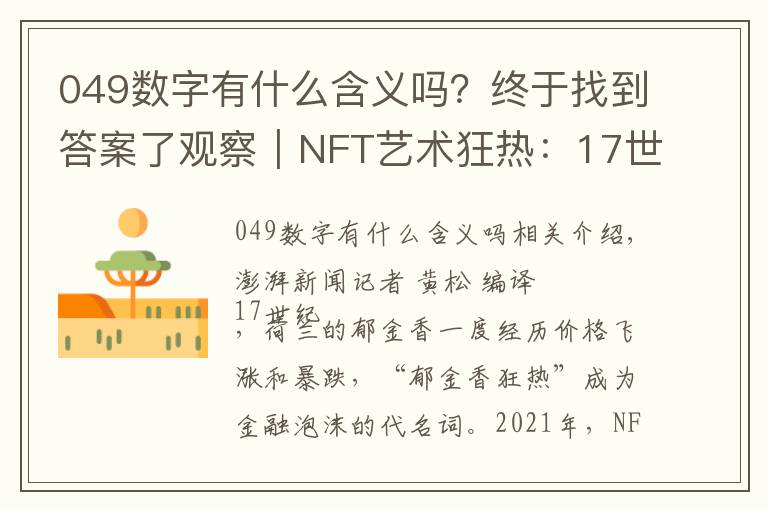 049数字有什么含义吗?终于找到答案了观察|NFT艺术狂热:17世纪“郁金香狂热”重现?