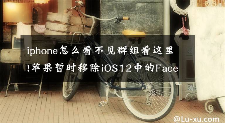 iphone怎么看不见群组看这里!苹果暂时移除iOS12中的FaceTime群组聊天功能