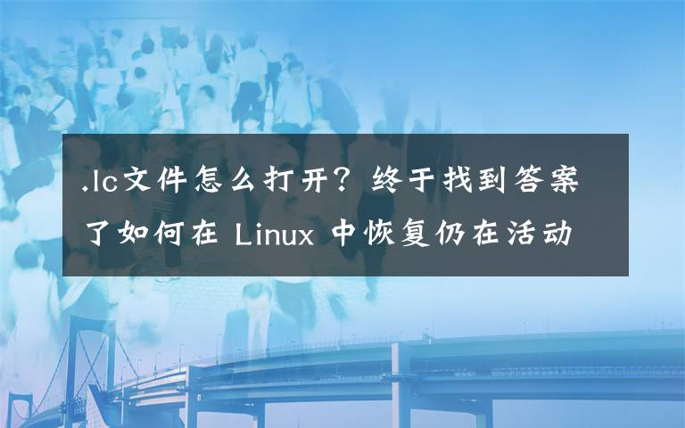 .lc文件怎么打开?终于找到答案了如何在 Linux 中恢复仍在活动进程中的已删除文件