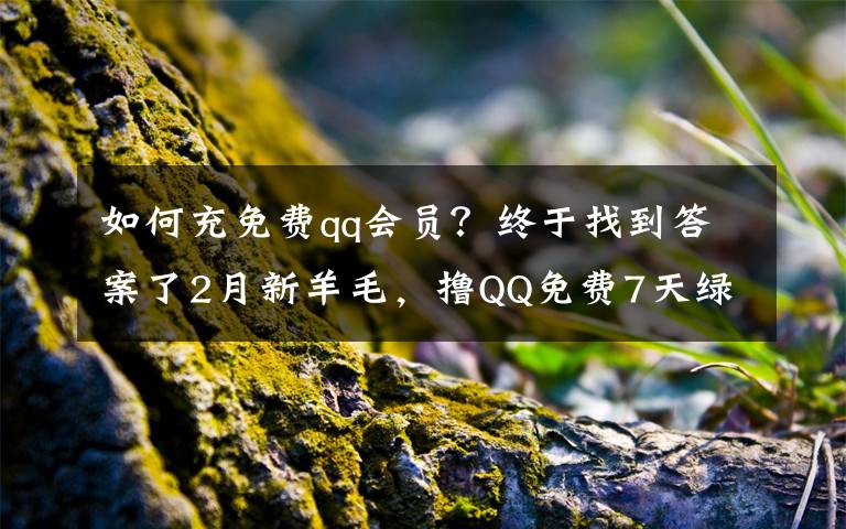 如何充免费qq会员？终于找到答案了2月新羊毛，撸QQ免费7天绿钻会员，2月9日截止可听周董版权歌曲