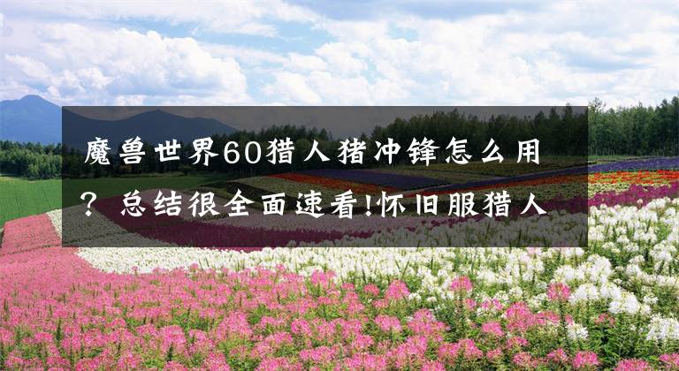 魔兽世界60猎人猪冲锋怎么用？总结很全面速看!怀旧服猎人入坑简易指南（附BL升级指引）