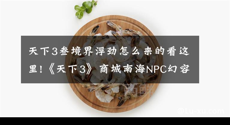 天下3叁境界浮劲怎么来的看这里!《天下3》商城南海NPC幻容丹相关预览！