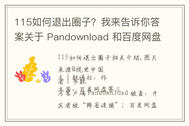 115如何退出圈子?我来告诉你答案关于 Pandownload 和百度网盘,你想知道的都在这里了