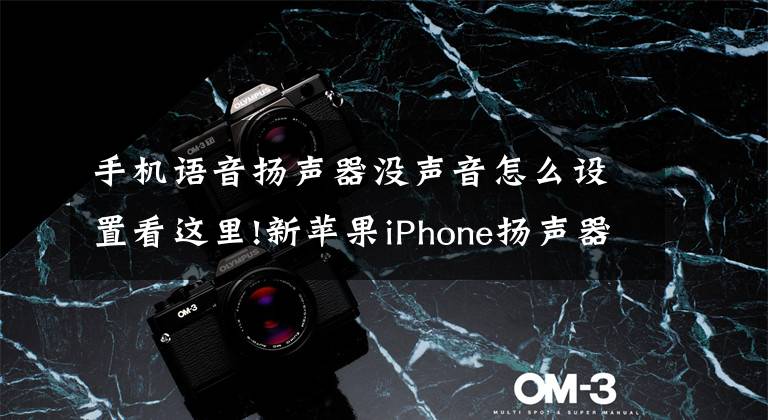 手机语音扬声器没声音怎么设置看这里!新苹果iPhone扬声器没声音时的解决教程