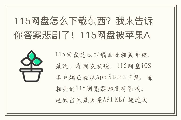 115网盘怎么下载东西?我来告诉你答案悲剧了!115网盘被苹果App Store下架