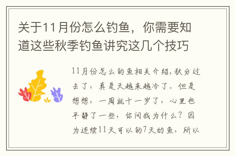 关于11月份怎么钓鱼,你需要知道这些秋季钓鱼讲究这几个技巧,掌握好了仍能爆护