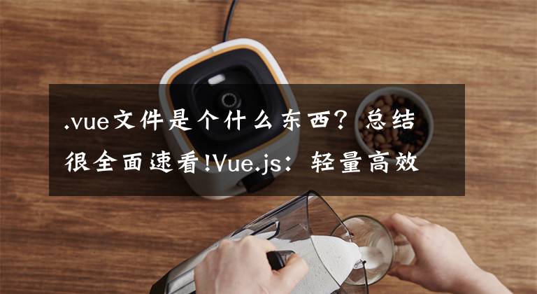 .vue文件是个什么东西?总结很全面速看!Vue.js:轻量高效的前端组件化方案