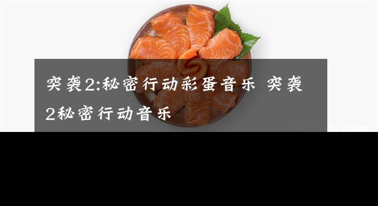 突袭2:秘密行动彩蛋音乐 突袭2秘密行动音乐