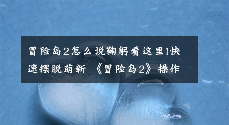 冒险岛2怎么说鞠躬看这里!快速摆脱萌新 《冒险岛2》操作界面详解