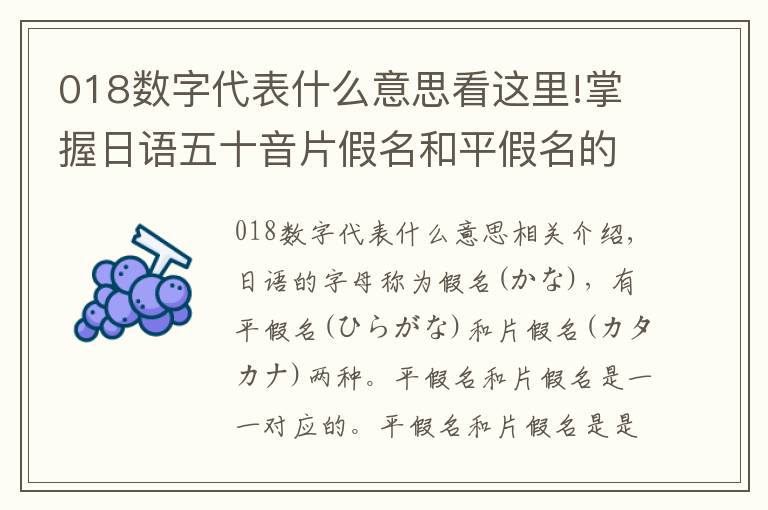 018数字代表什么意思看这里!掌握日语五十音片假名和平假名的作用,轻松学会五十音