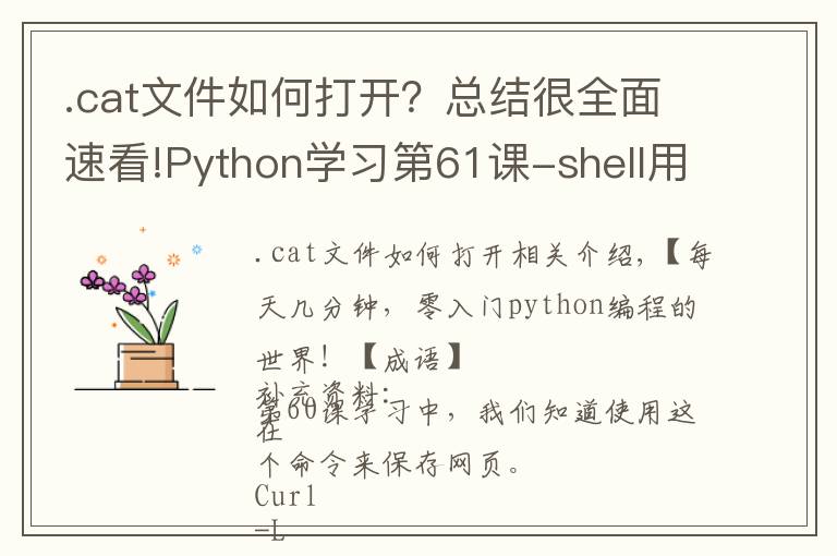 .cat文件如何打开?总结很全面速看!Python学习第61课-shell用cat和less打开文件