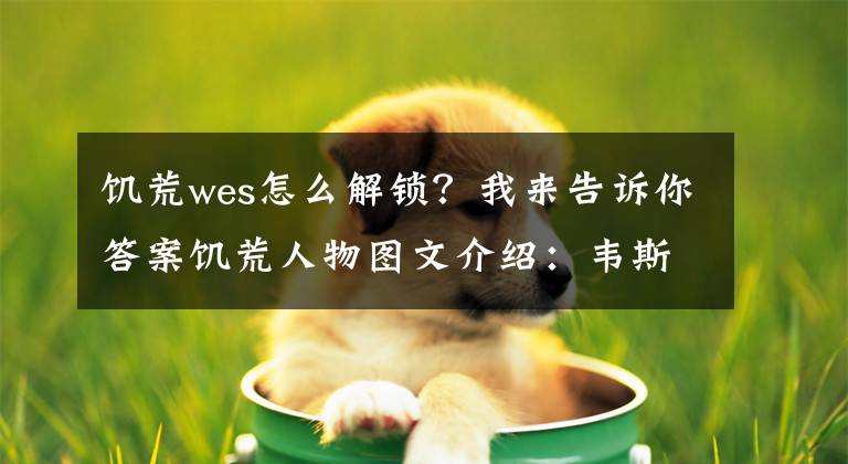 饥荒wes怎么解锁？我来告诉你答案饥荒人物图文介绍：韦斯