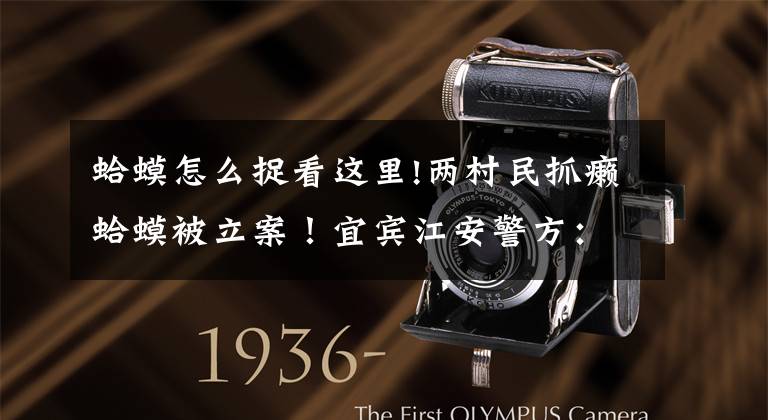 蛤蟆怎么捉看这里!两村民抓癞蛤蟆被立案！宜宾江安警方：逮癞蛤蟆也违法！