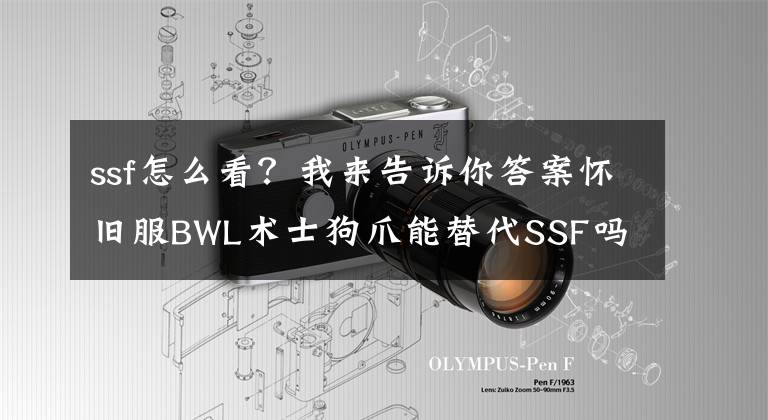 ssf怎么看？我来告诉你答案怀旧服BWL术士狗爪能替代SSF吗 收益对比详解