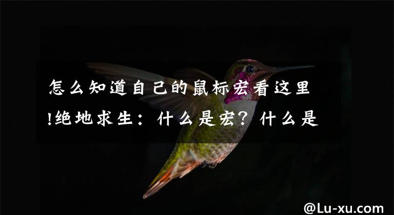 怎么知道自己的鼠标宏看这里!绝地求生：什么是宏？什么是外挂？你怎么看宏和外挂！