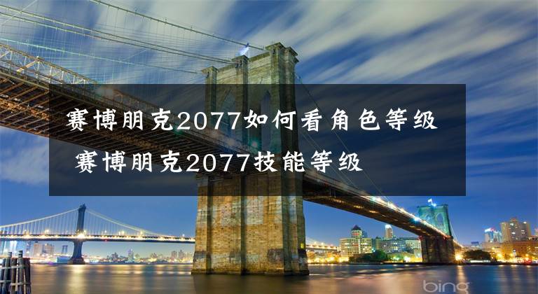 赛博朋克2077如何看角色等级 赛博朋克2077技能等级