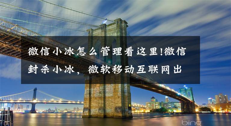 微信小冰怎么管理看这里!微信封杀小冰，微软移动互联网出兵失利