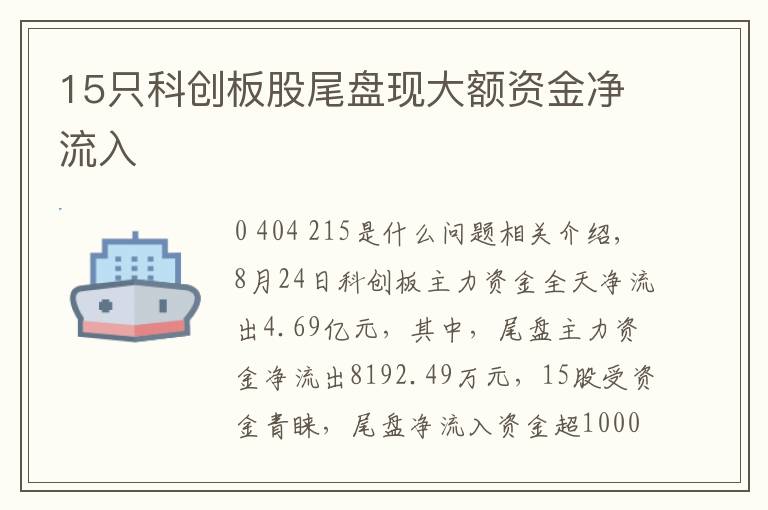 15只科创板股尾盘现大额资金净流入