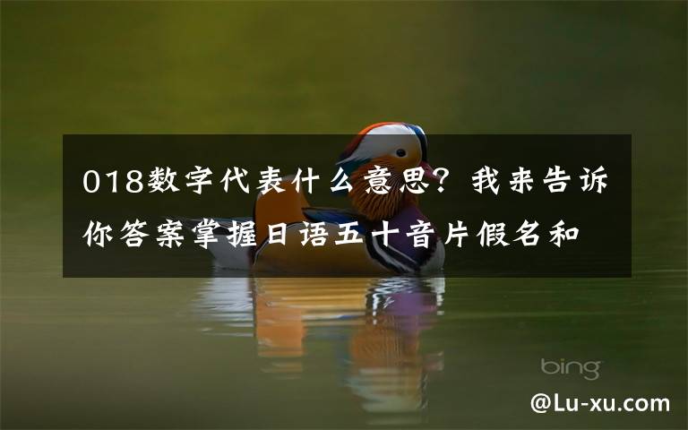 018数字代表什么意思?我来告诉你答案掌握日语五十音片假名和平假名的作用,轻松学会五十音