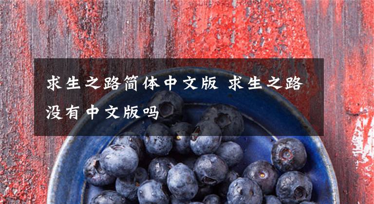 求生之路简体中文版 求生之路没有中文版吗