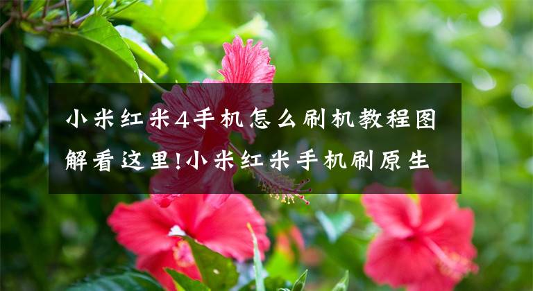 小米红米4手机怎么刷机教程图解看这里!小米红米手机刷原生安卓lineage、Pixel Experience、RRos教程