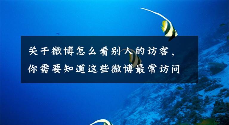 关于微博怎么看别人的访客,你需要知道这些微博最常访问 是你不喜欢的人