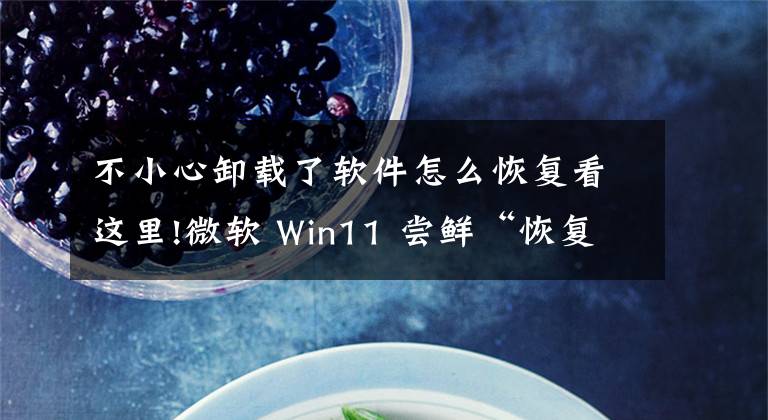 不小心卸载了软件怎么恢复看这里!微软 Win11 尝鲜“恢复应用程序”功能