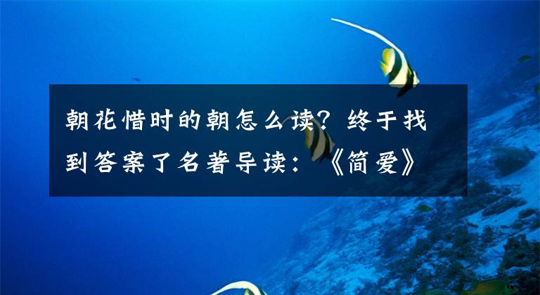 朝花惜时的朝怎么读?终于找到答案了名著导读:《简爱》《红岩》《朝花夕拾》知识点、习题大集合!