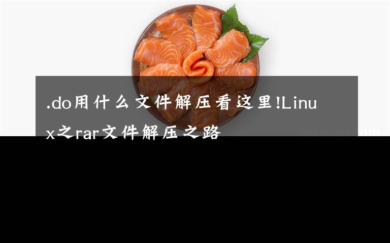 .do用什么文件解压看这里!Linux之rar文件解压之路