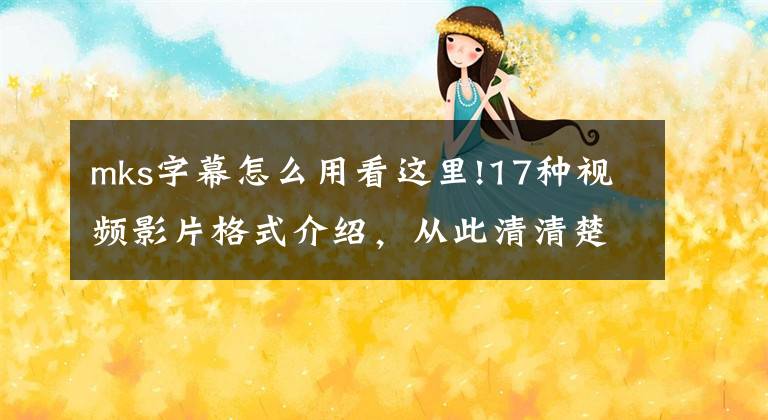 mks字幕怎么用看这里!17种视频影片格式介绍,从此清清楚楚玩转视频界