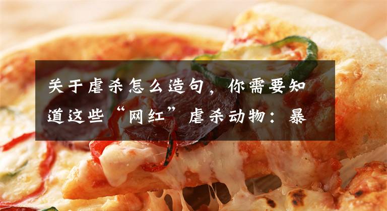 关于虐杀怎么造句，你需要知道这些“网红”虐杀动物：暴力邪典违法，不必诉诸动物福利