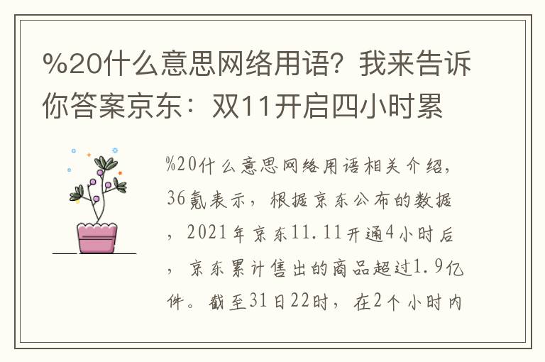 %20什么意思网络用语?我来告诉你答案京东:双11开启四小时累计售出商品超1.9亿件