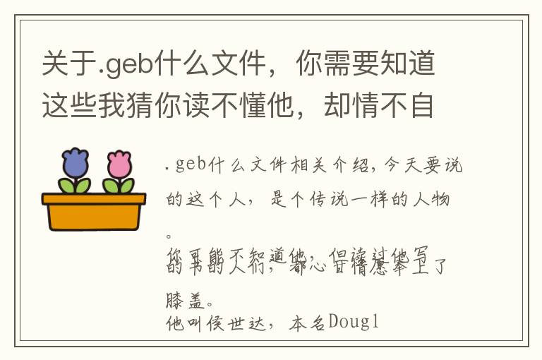 关于.geb什么文件,你需要知道这些我猜你读不懂他,却情不自禁地佩服