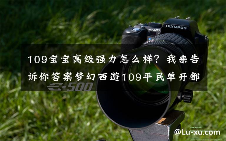 109宝宝高级强力怎么样?我来告诉你答案梦幻西游109平民单开都需要配什么宝宝?别傻乎乎啥都买