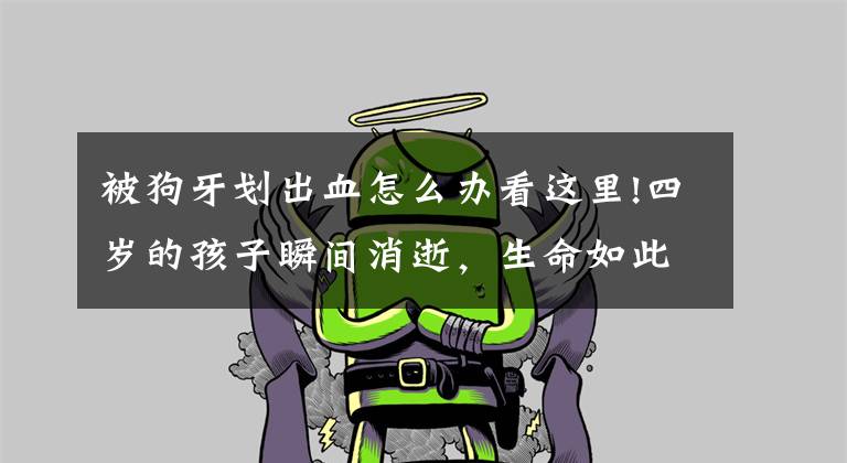 被狗牙划出血怎么办看这里!四岁的孩子瞬间消逝，生命如此脆弱，如何承受油门当刹车踩