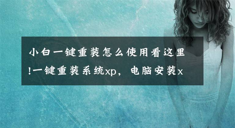 小白一键重装怎么使用看这里!一键重装系统xp，电脑安装xp系统教程