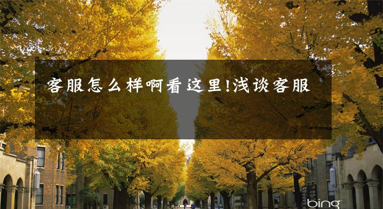 客服怎么样啊看这里!浅谈客服