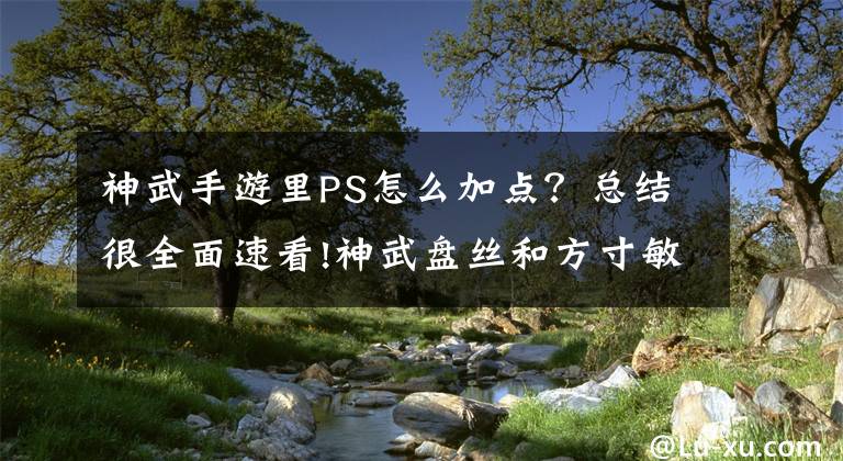 神武手游里PS怎么加点？总结很全面速看!神武盘丝和方寸敏捷怎么加 速度的分配攻略