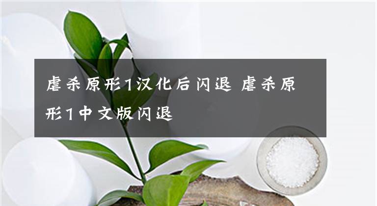 虐杀原形1汉化后闪退 虐杀原形1中文版闪退