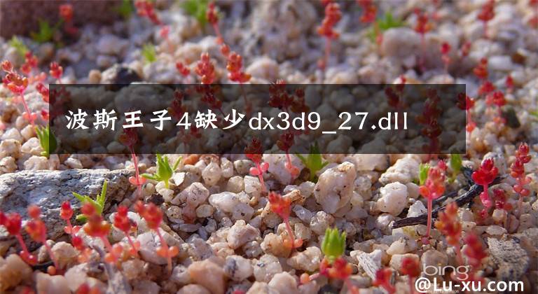 波斯王子4缺少dx3d9_27.dll
