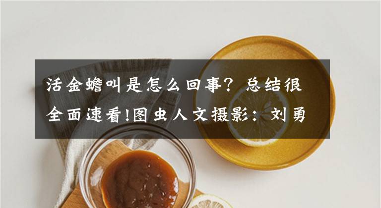 活金蟾叫是怎么回事?总结很全面速看!图虫人文摄影:刘勇良手机纪实摄影:春来早蟾蜍叫