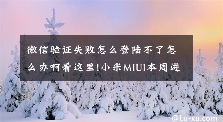 微信验证失败怎么登陆不了怎么办啊看这里!小米MIUI本周进展:正进一步排查勿扰模式打开后对微信无效的问题